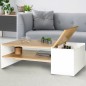 Table basse contemporaine ZEN avec rangement