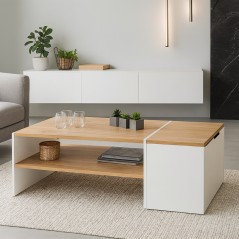 Table Basse Moderne avec Coffre de Rangement ZEN
