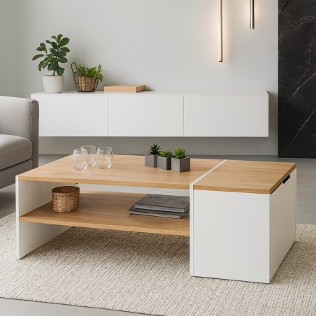 Table Basse Moderne avec Coffre de Rangement ZEN
