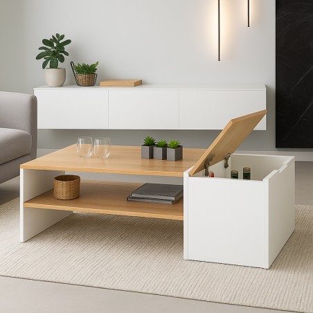Table Basse Moderne avec Coffre de Rangement ZEN