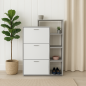 Porte-Chaussures Modera Avec Façade En High Gloss Et 3 Portes Battantes, Compartiments Inclus