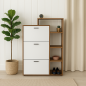 Porte-Chaussures Modera Avec Façade En High Gloss Et 3 Portes Battantes, Compartiments Inclus