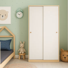 Armoire Trendy : Élégance et Praticité à Portées de Portes Coulissantes