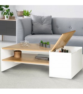 Table Basse Moderne avec Coffre de Rangement ZEN