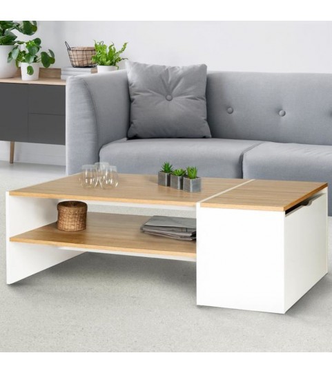 Table Basse Moderne avec Coffre de Rangement ZEN