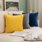 Coussin Motif uni - Gris 45x45cm - en Velours Doux - décoratif Salon Canapé Coussin Motif uni - Gris 45x45cm - en Velours Doux - décoratif Salon Canapé