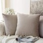 Coussin Motif uni - Gris 45x45cm - en Velours Doux - décoratif Salon Canapé Coussin Motif uni - Gris 45x45cm - en Velours Doux - décoratif Salon Canapé